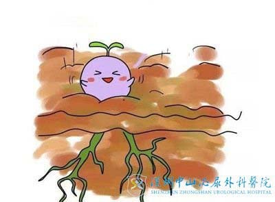 子宫内膜增生还能通过试管婴儿生宝宝吗