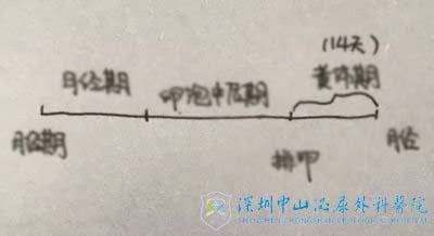 塱ɶ幦ܲȫҲܵ²Уô