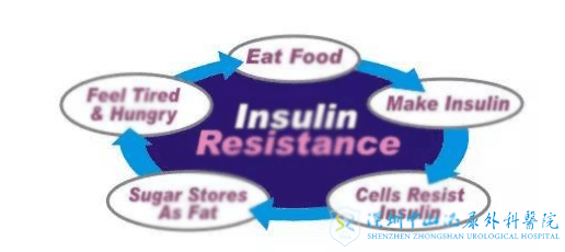 胰岛素抵抗