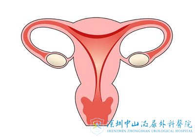 为什么试管婴儿周期中,医生叫我去做子宫内膜活检呢