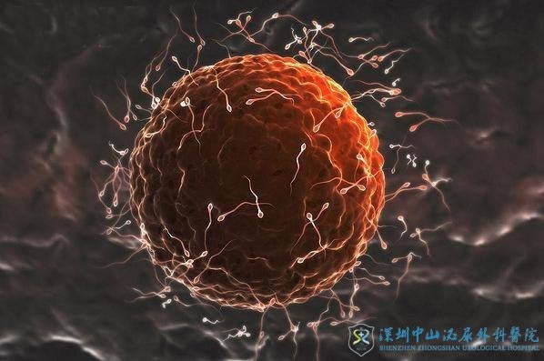 若女性监测发现不排卵还可以做试管婴儿吗