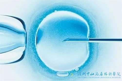 初诊患者的疑问:试管婴儿需要什么手续