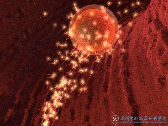 试管婴儿复诊的时候麻不麻烦