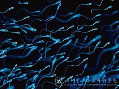 Ϲ侫ܱˣͨԹӤʵֵĸԸ