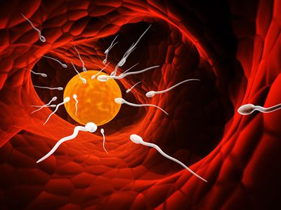 Ϲ˵ۣ᲻Ӱ쵽Թеȡ