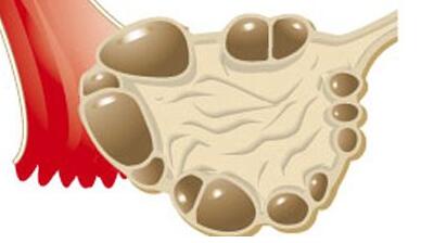 ԹӤ֮·ϵŮĵģѳĹȴ̼᲻