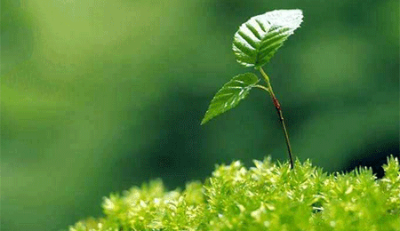 深圳中山妇产医院