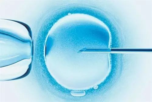 我想在深圳市做试管婴儿不知道哪里好