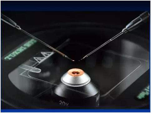 ԹӤɹôģѾֲһʧһҪȥ