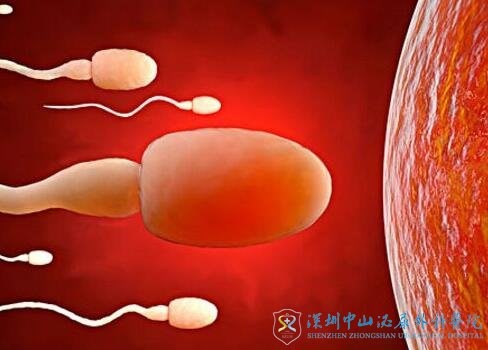 高龄男性想去深圳中山泌尿外科医院做试管婴儿,妊娠率高吗