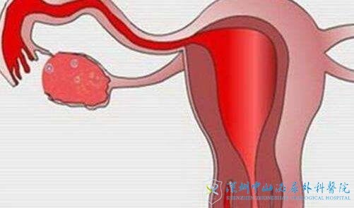 32ѹܲͨȥɽԹӤˣɹĻ󲻴