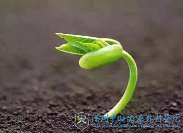 在深圳哪家医院做试管婴儿的成功率较高