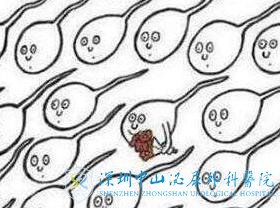 男人精子成活率多少可以做试管婴儿