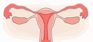 问子宫内膜异位症能做试管婴儿吗