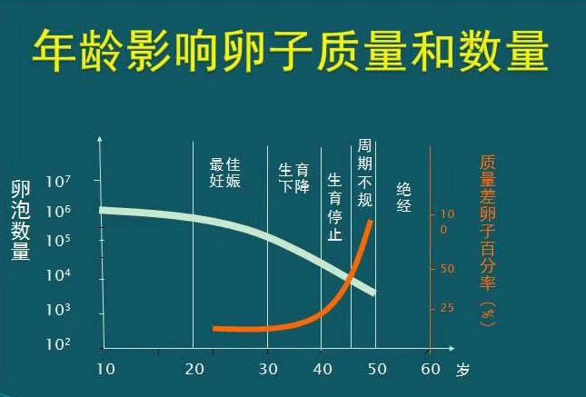 卵泡数目要求多少才能进行捐卵手术