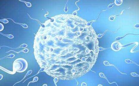 男性不育少精子症考虑做试管婴儿需要注意什么吗