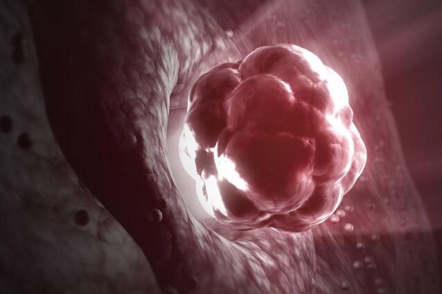 卵巢异常早衰准备去深圳做试管婴儿了要准备什么吗