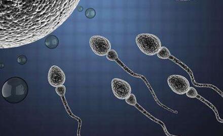 ҽ38ˣϹ֢ԹӤÿԳɹ