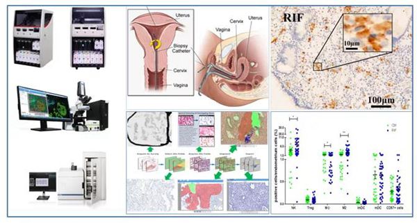 ɽҽԺֳģҽв٣ɹȻ