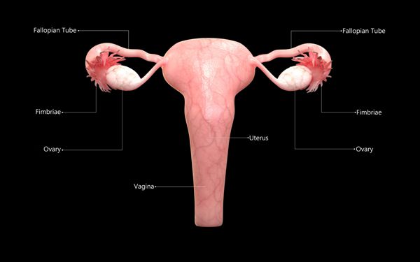 ƵתдʲôѳܵܲԹӤ