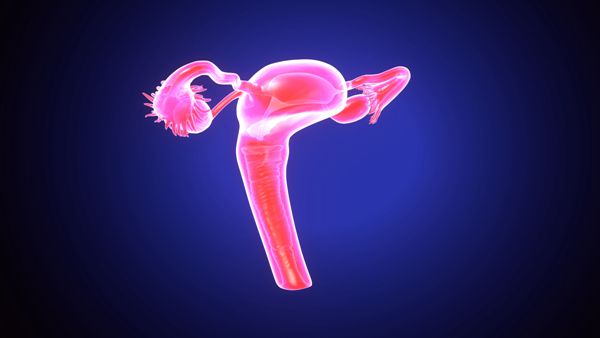 子宫内膜炎有哪些表现会不会影响试管婴儿妊娠结局