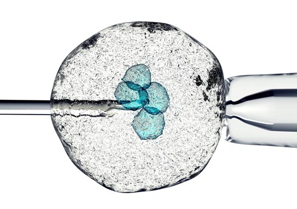 破解试管婴儿的难关：深入探索胚胎植入背后的生物学和技术挑战 (破解试管婴儿的方法)