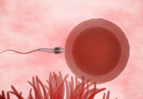 男性精子活力低做试管婴儿成功率高吗