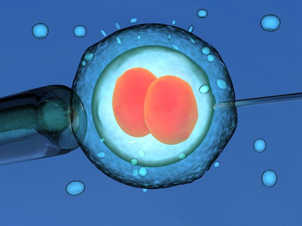 ԲԹӤȡ֮ǰҪòȡõľ