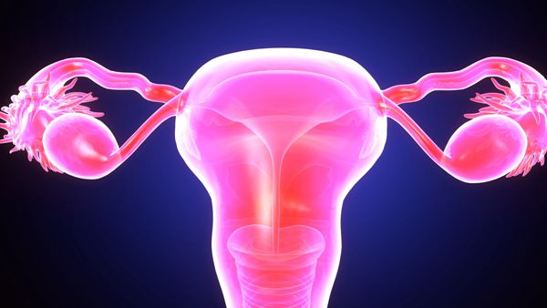 卵巢囊肿试管婴儿可以进行降调吗