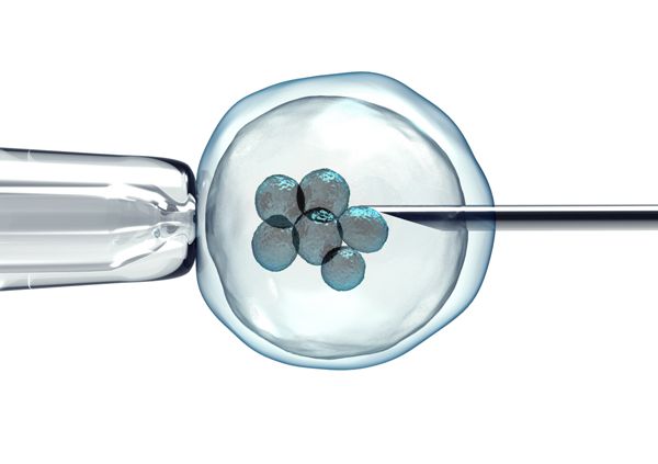 ̷ԲԹӤֲβɹΪʲô