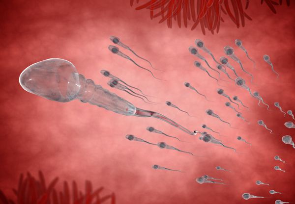 重度弱精子症如何治疗还能不能试管婴儿