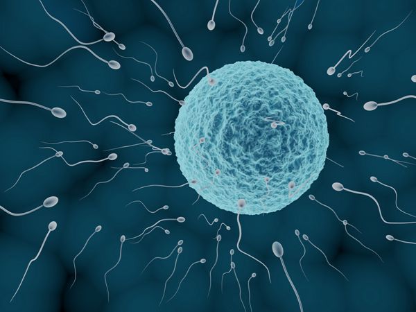 男性精子少能否做试管婴儿