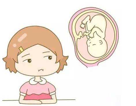 多囊试管婴儿促排卵泡20多个怎么办