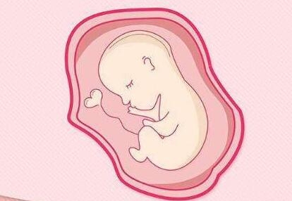 多次人工流产引起盆腔粘连,会影响试管婴儿移植的胚胎着床率吗